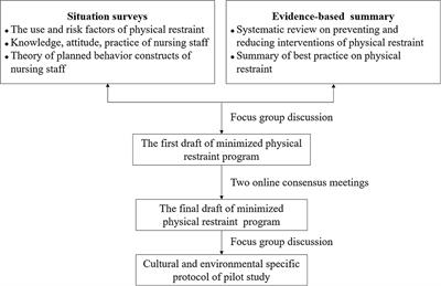 Effects and implementation of a minimized physical restraint program for older adults in nursing homes: A pilot study